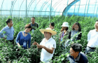 2025年全省重大动物疫病和重点人畜共患病防控技术师资培训班在石家庄举办